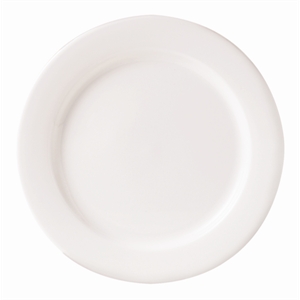9 Inch Plate